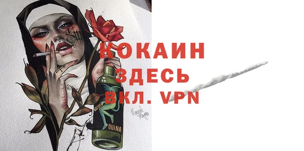 индика Новокубанск