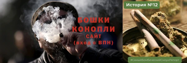 PSILOCYBIN Новозыбков