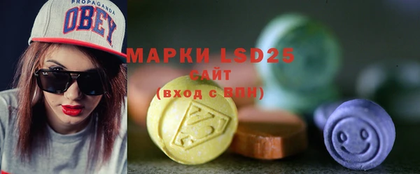 индика Новокубанск
