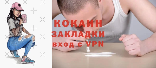PSILOCYBIN Новозыбков