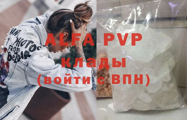 индика Новокубанск