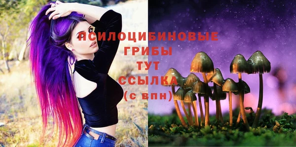 индика Новокубанск