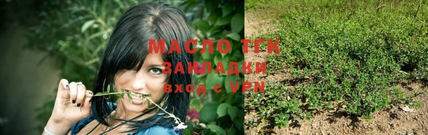 индика Новокубанск