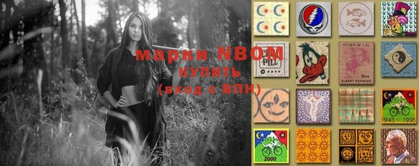 PSILOCYBIN Новозыбков