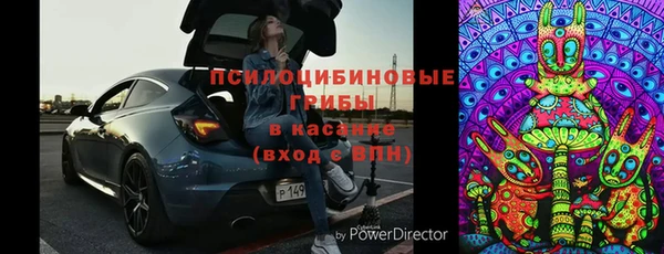 индика Новокубанск