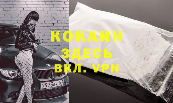 индика Новокубанск