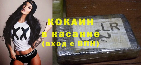 индика Новокубанск