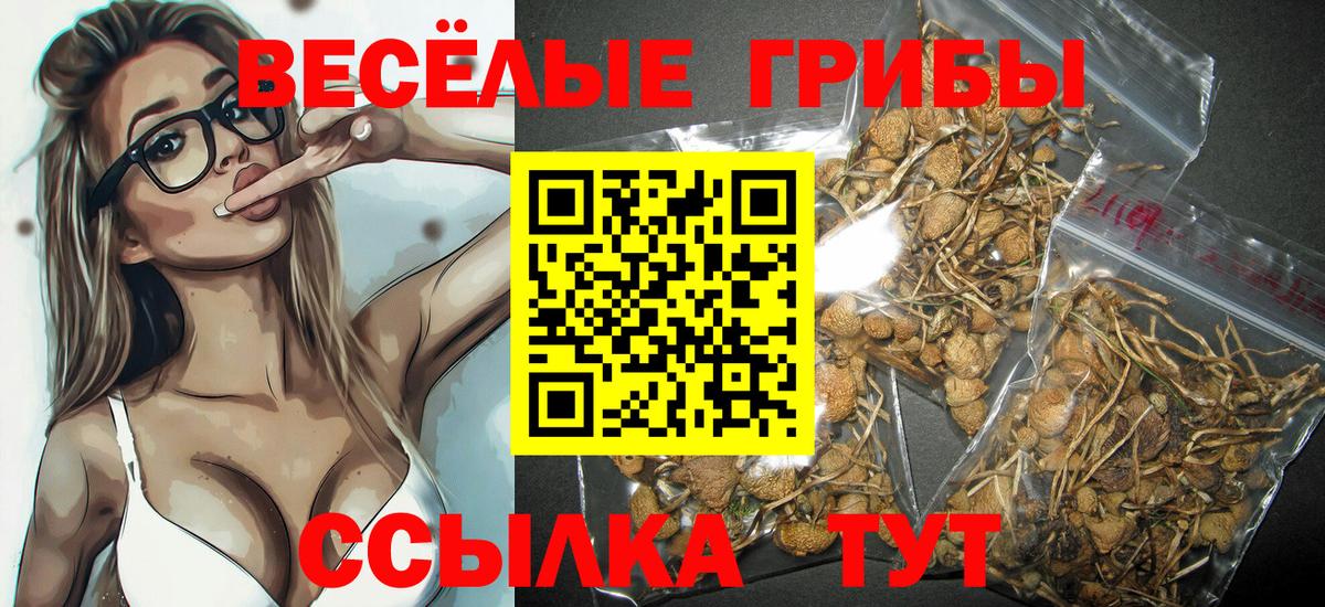 Галлюциногенные грибы мицелий Раменское